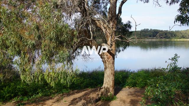 بحيرة وسط محمية سيدي بوغابة بمدينة القنيطرة في شمال شرق المغرب والتي تحتوي على أنواع نادرة من الطيور والنباتات المهددة بالانقراض (20 يناير كانون الثاني 2024)